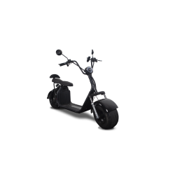 Rider Scooter
