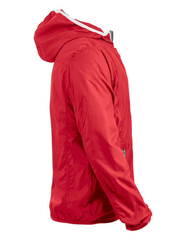 Hardy - Image 4