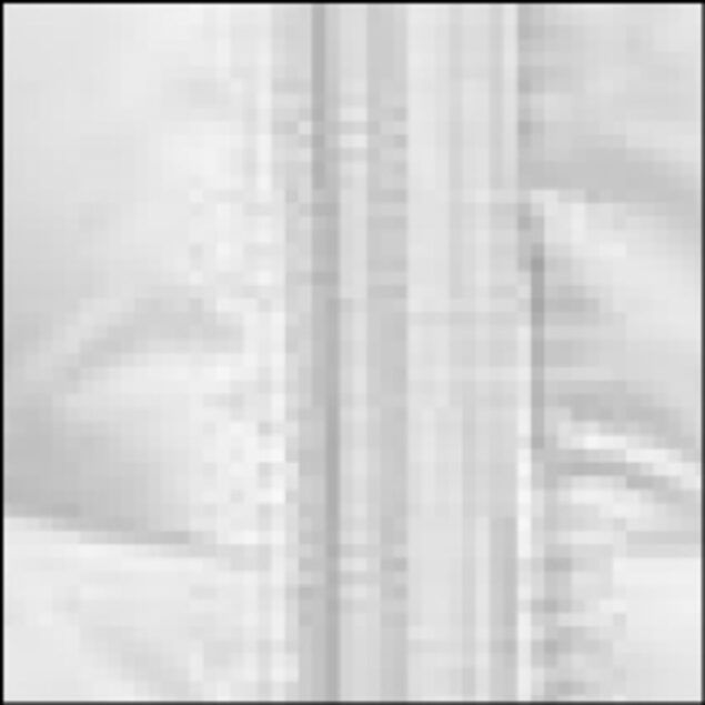 Base Vest - Image 2